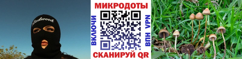 Псилоцибиновые грибы GOLDEN TEACHER  hydra онион  Нерюнгри 